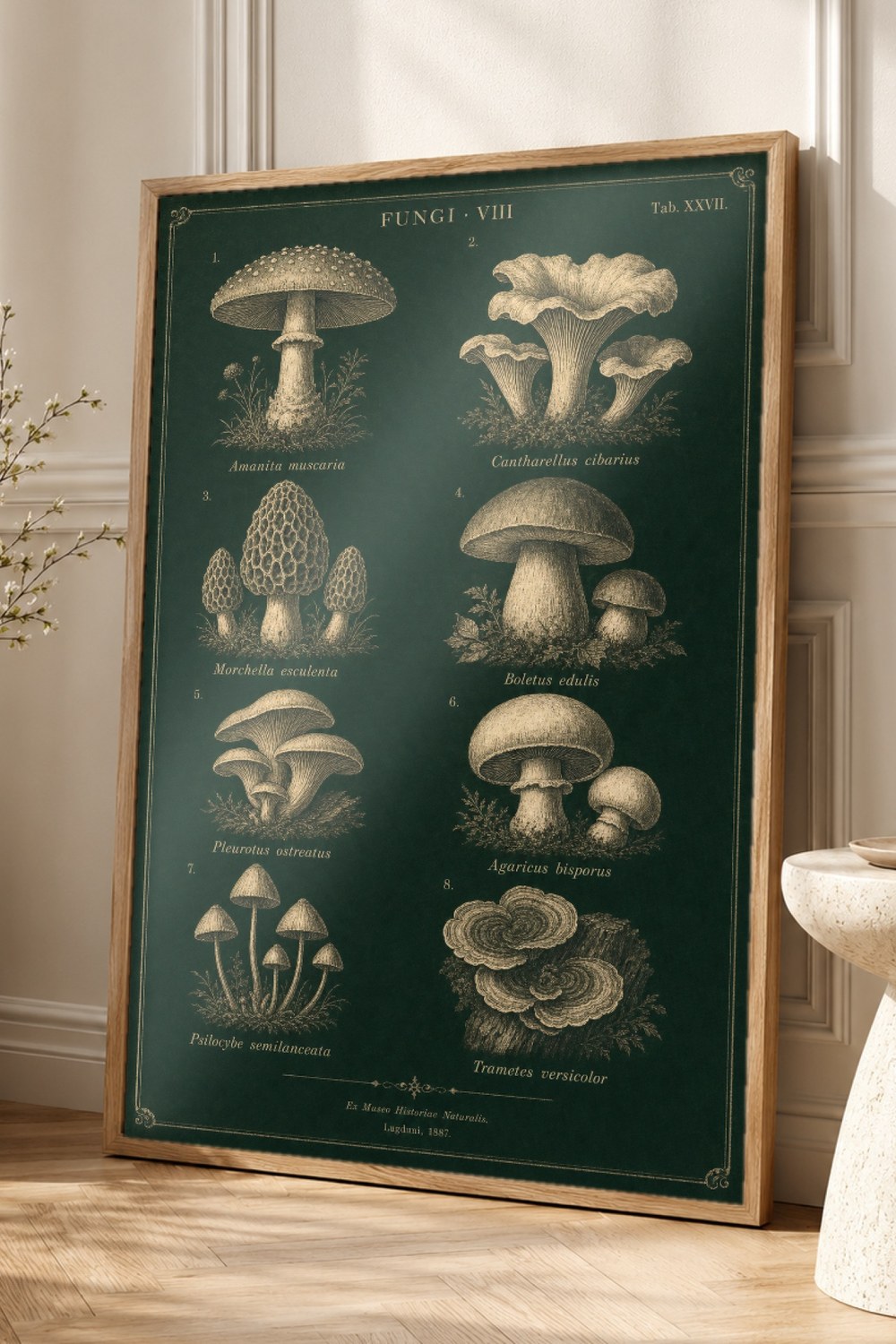 Mushroom Botanical Wall Art Print