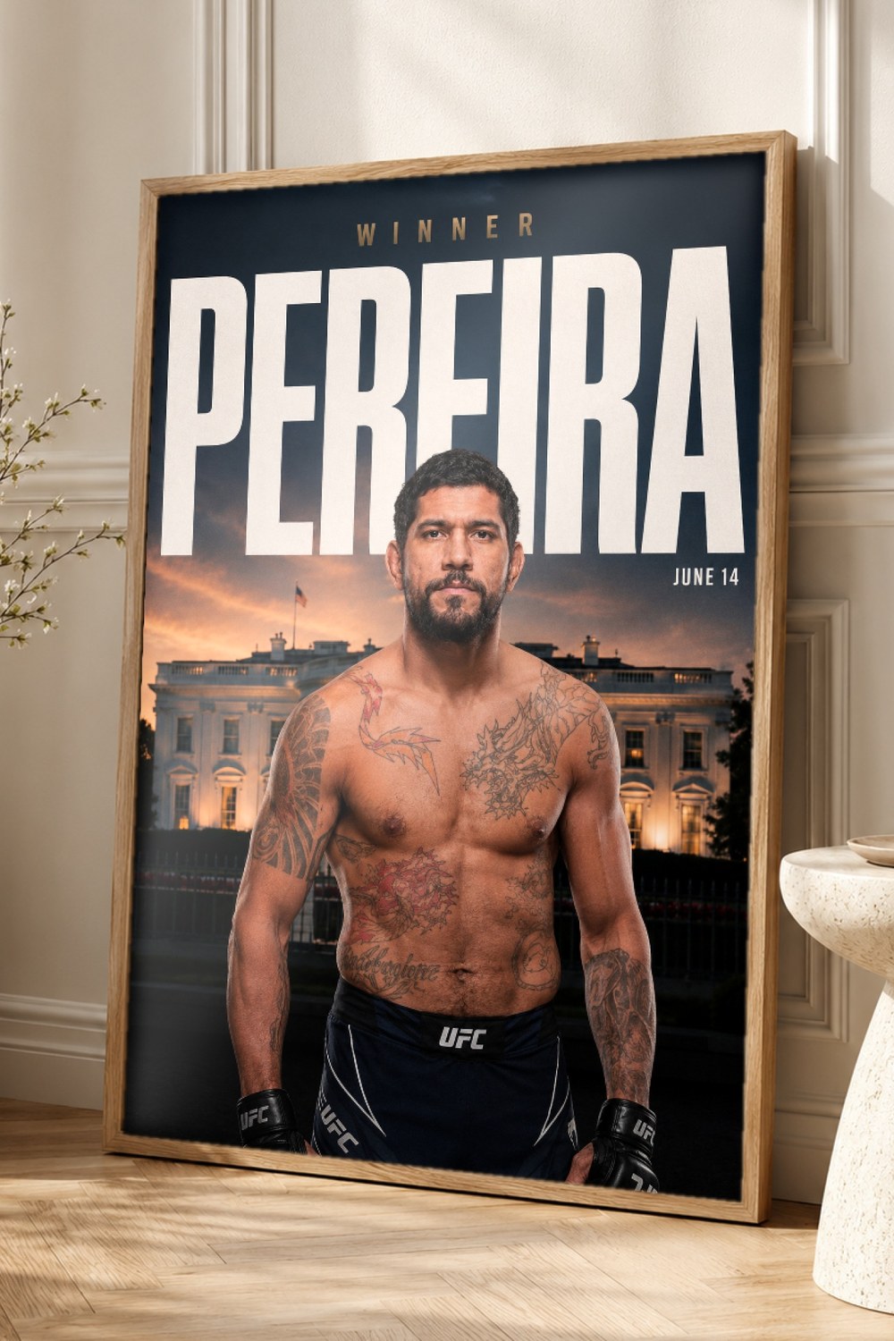 Alex Pereira Poster